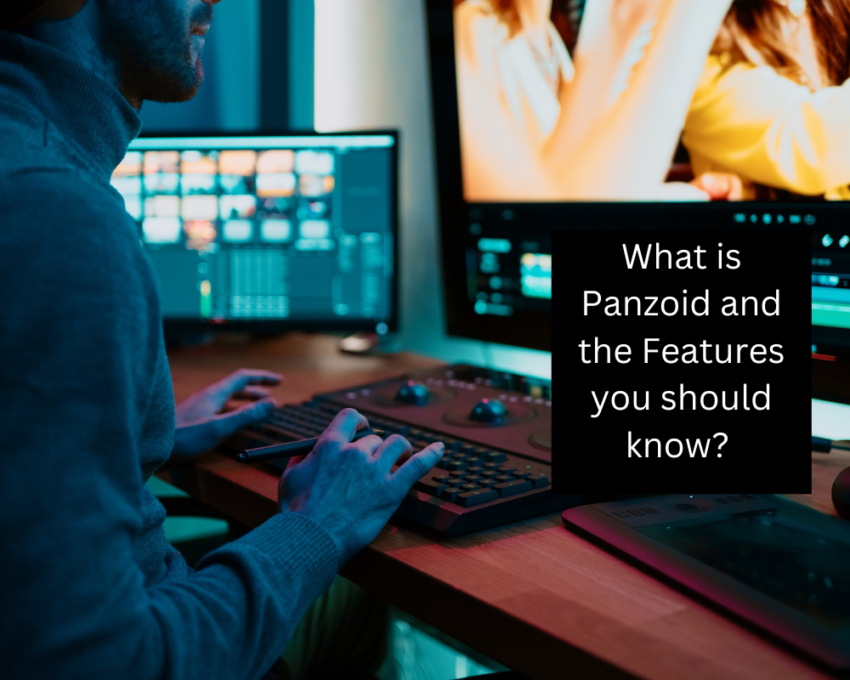 What is Panzoid and the Features you should know?